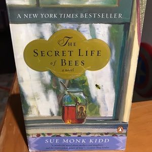 The Secret Life of Bees book